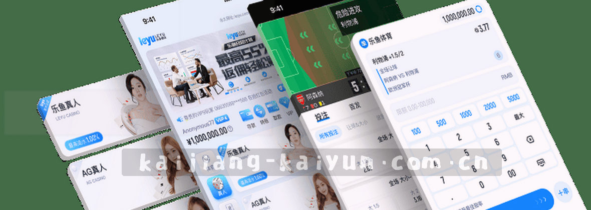 开云CN | 在此开疆：专注本土化智能服务新领地